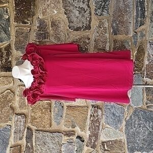 Halston raspberrypink shoulder ruffled sheath dresssleeves 10